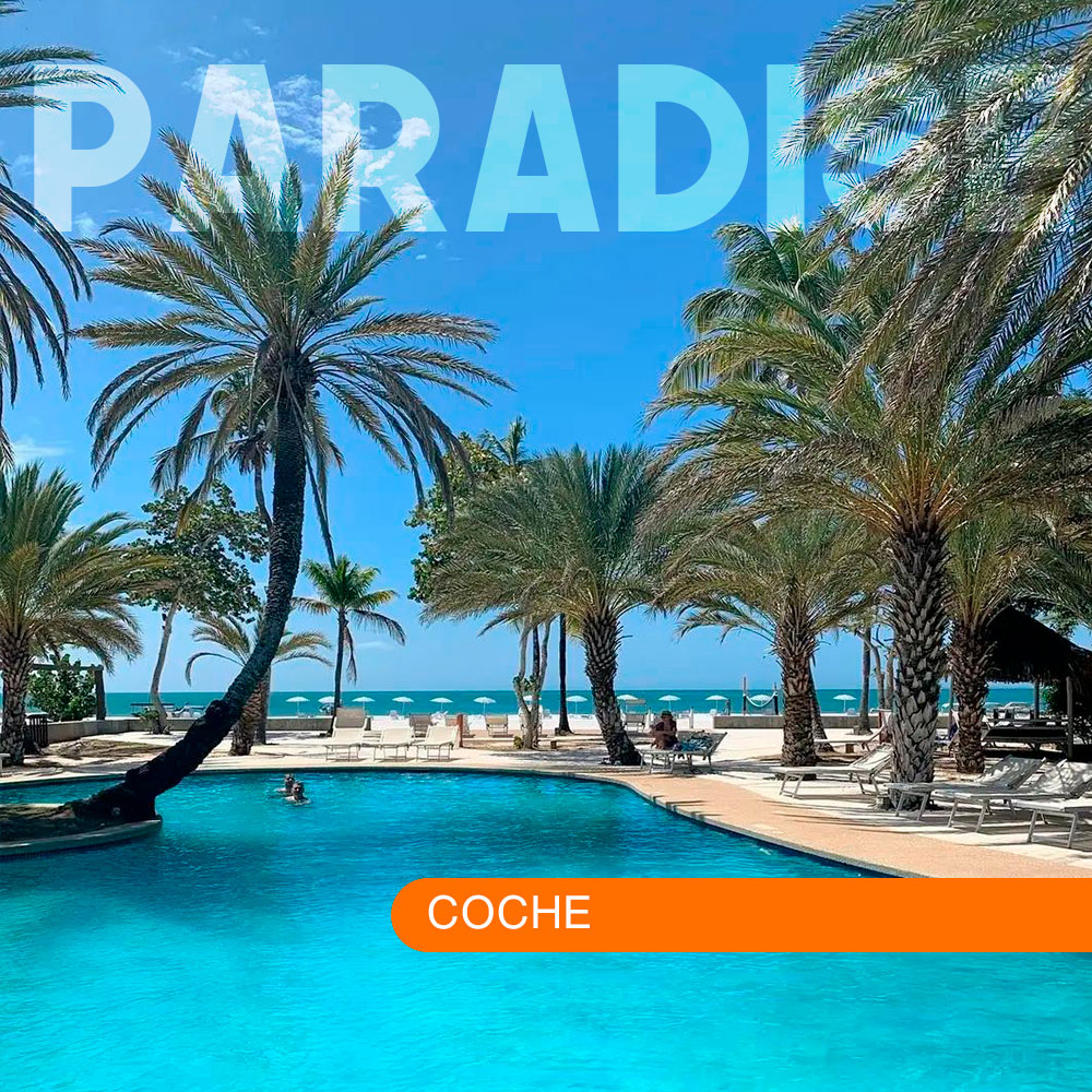 Paradise Coche